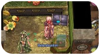 File:Heimhunter.png