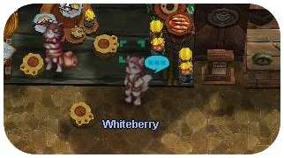 File:Whiteberry.png