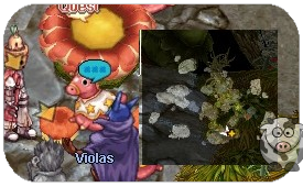 File:Ch2Violas2.png