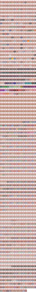 File:Novice pal.png