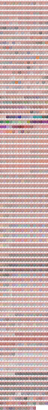 File:Champion pal.png