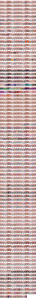 File:Super Novice pal.png