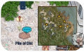Thumbnail for version as of 07:55, 6 April 2025