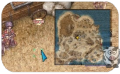 Thumbnail for version as of 07:55, 6 April 2025